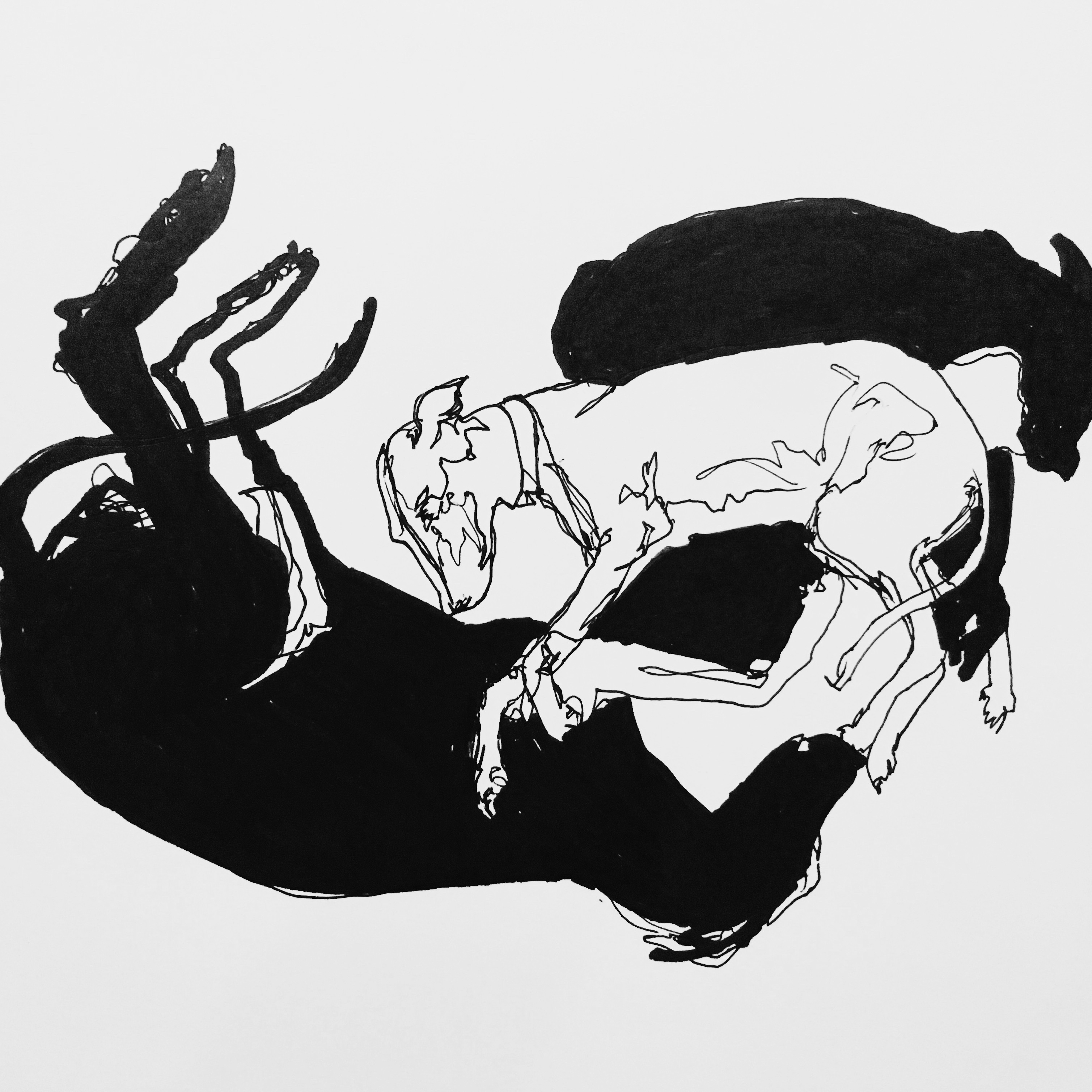 Shadows