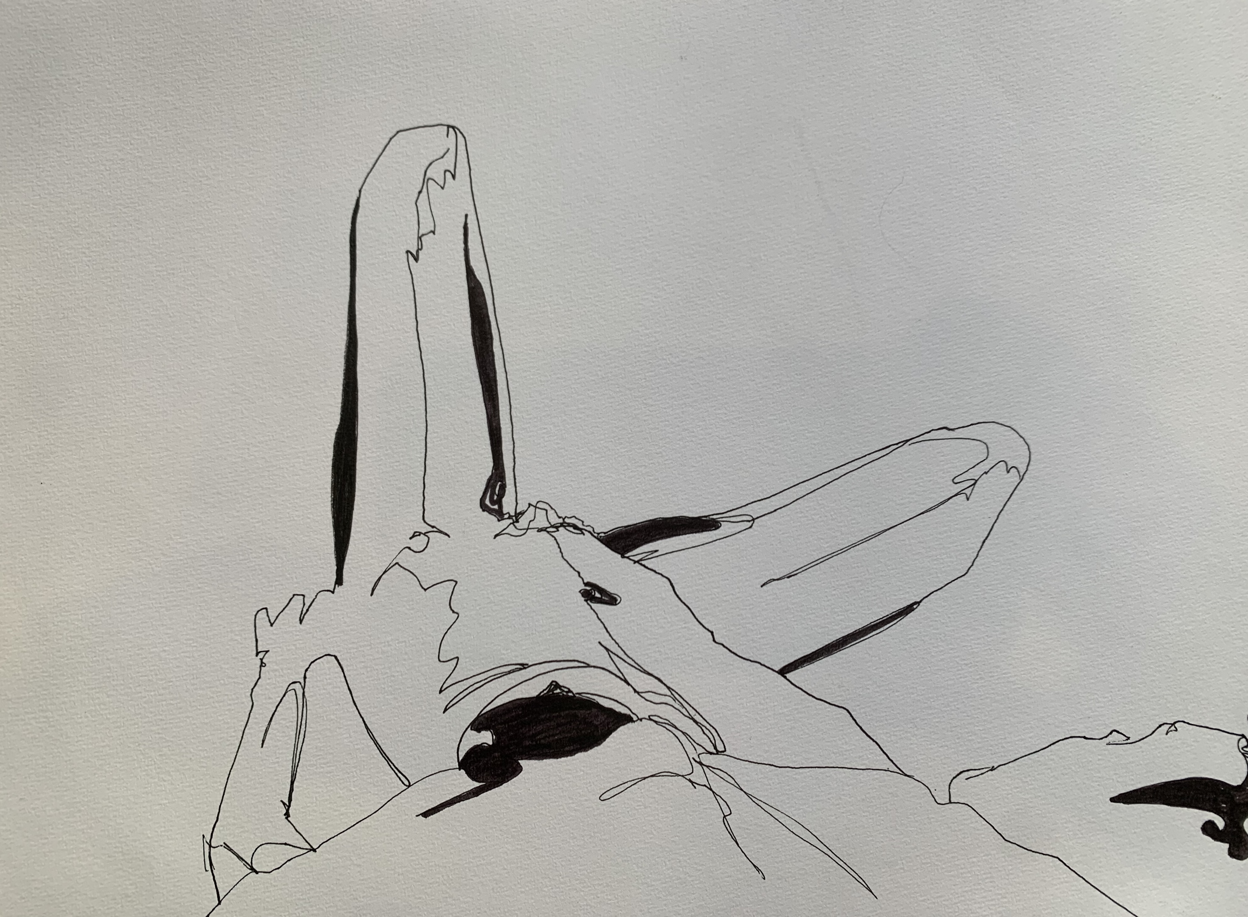 Body 2